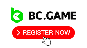 KYC Compliance in BC.Game A Complete Guide